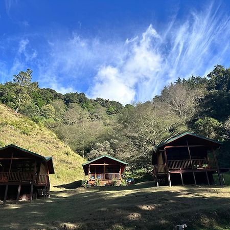 Entre Arboles Lodge San Gerardo de Dota Bagian luar foto