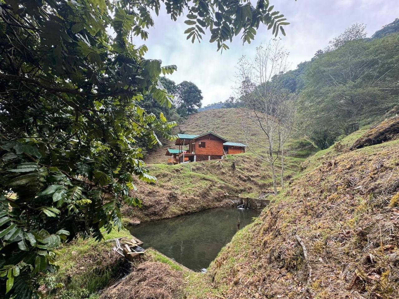 Entre Arboles Lodge San Gerardo de Dota Bagian luar foto