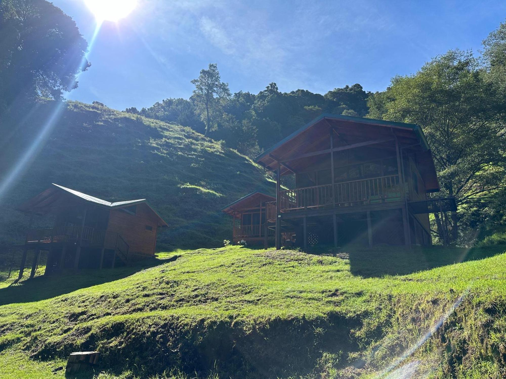 Entre Arboles Lodge San Gerardo de Dota Bagian luar foto