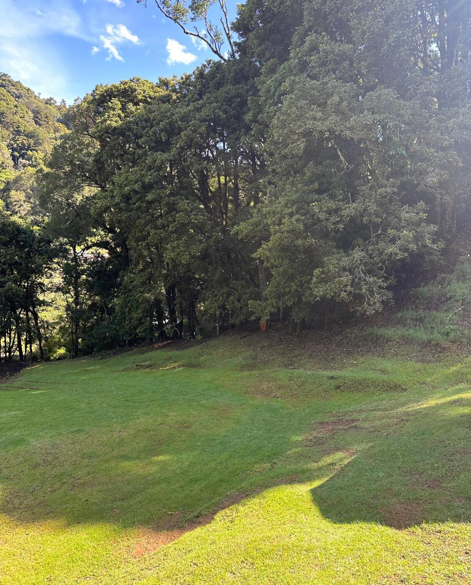 Entre Arboles Lodge San Gerardo de Dota Bagian luar foto
