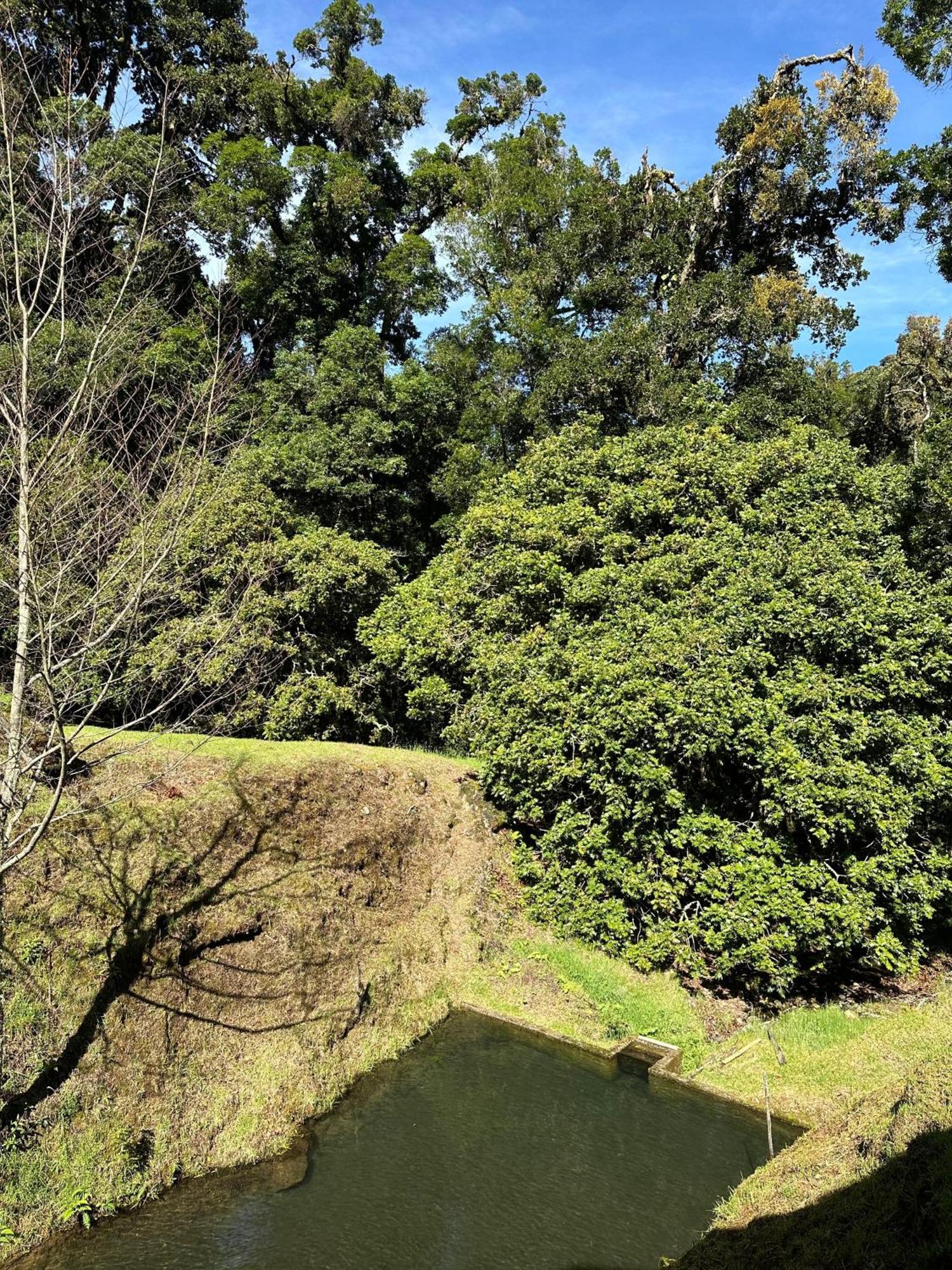 Entre Arboles Lodge San Gerardo de Dota Bagian luar foto