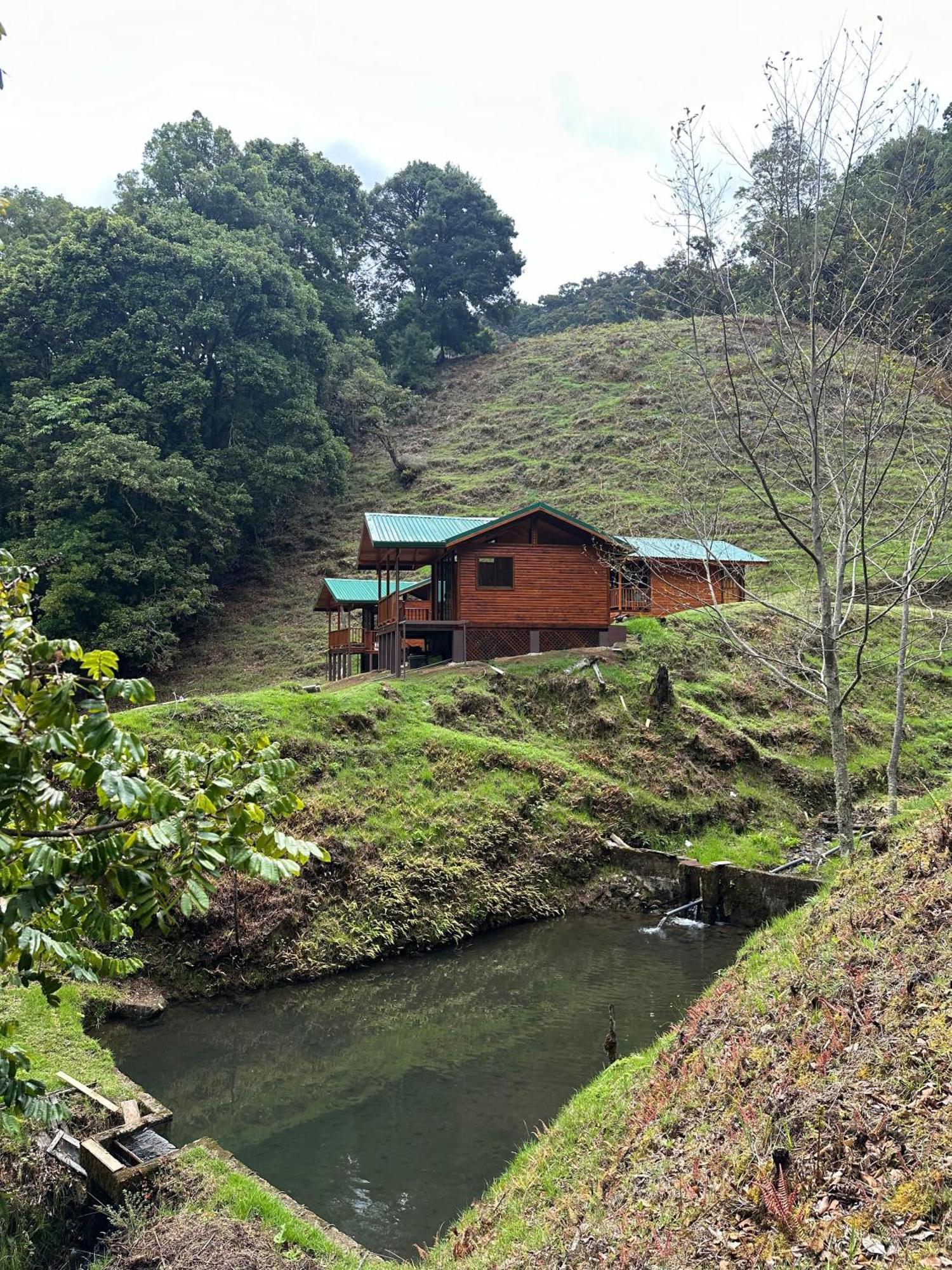 Entre Arboles Lodge San Gerardo de Dota Bagian luar foto