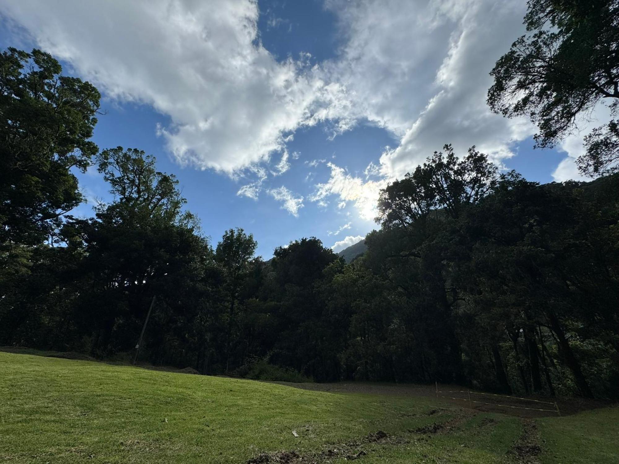 Entre Arboles Lodge San Gerardo de Dota Bagian luar foto