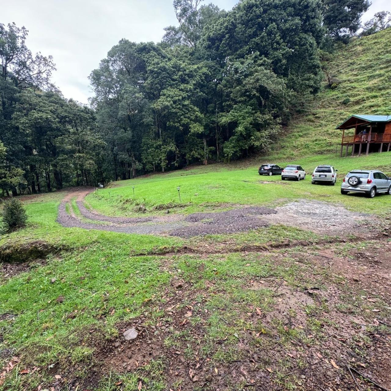Entre Arboles Lodge San Gerardo de Dota Bagian luar foto