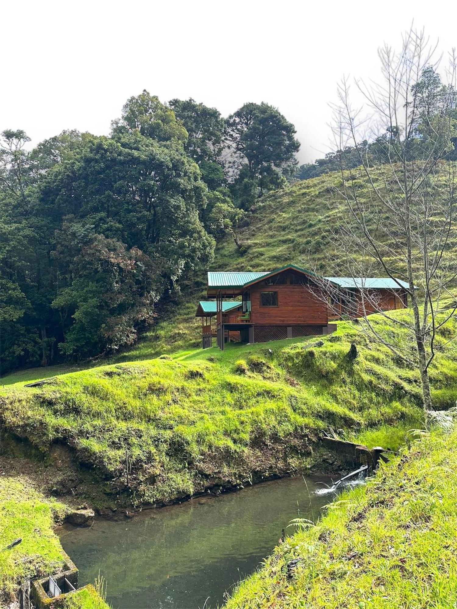 Entre Arboles Lodge San Gerardo de Dota Bagian luar foto
