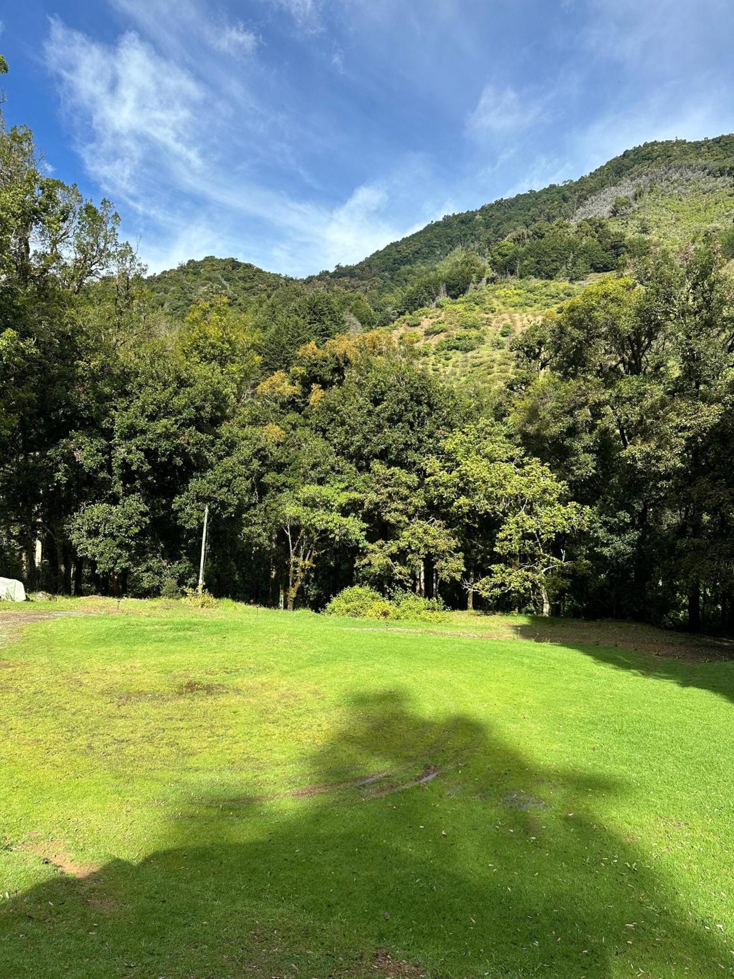Entre Arboles Lodge San Gerardo de Dota Bagian luar foto
