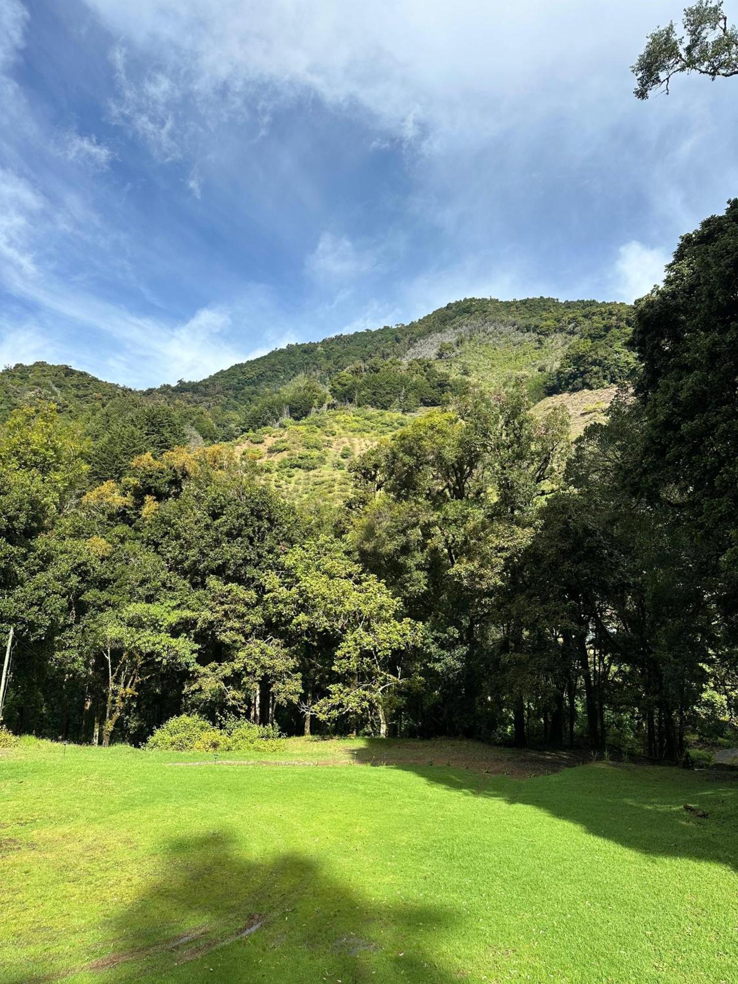 Entre Arboles Lodge San Gerardo de Dota Bagian luar foto