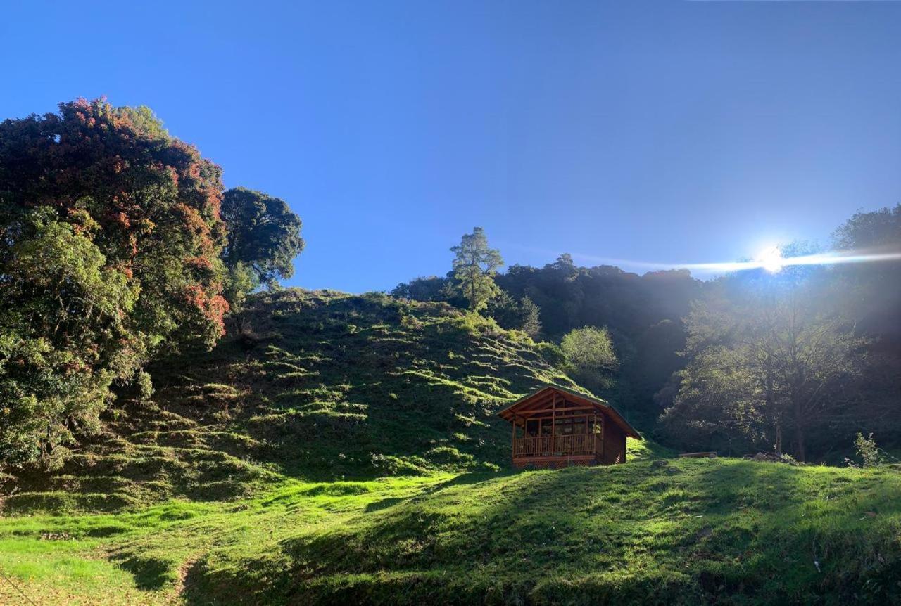Entre Arboles Lodge San Gerardo de Dota Bagian luar foto