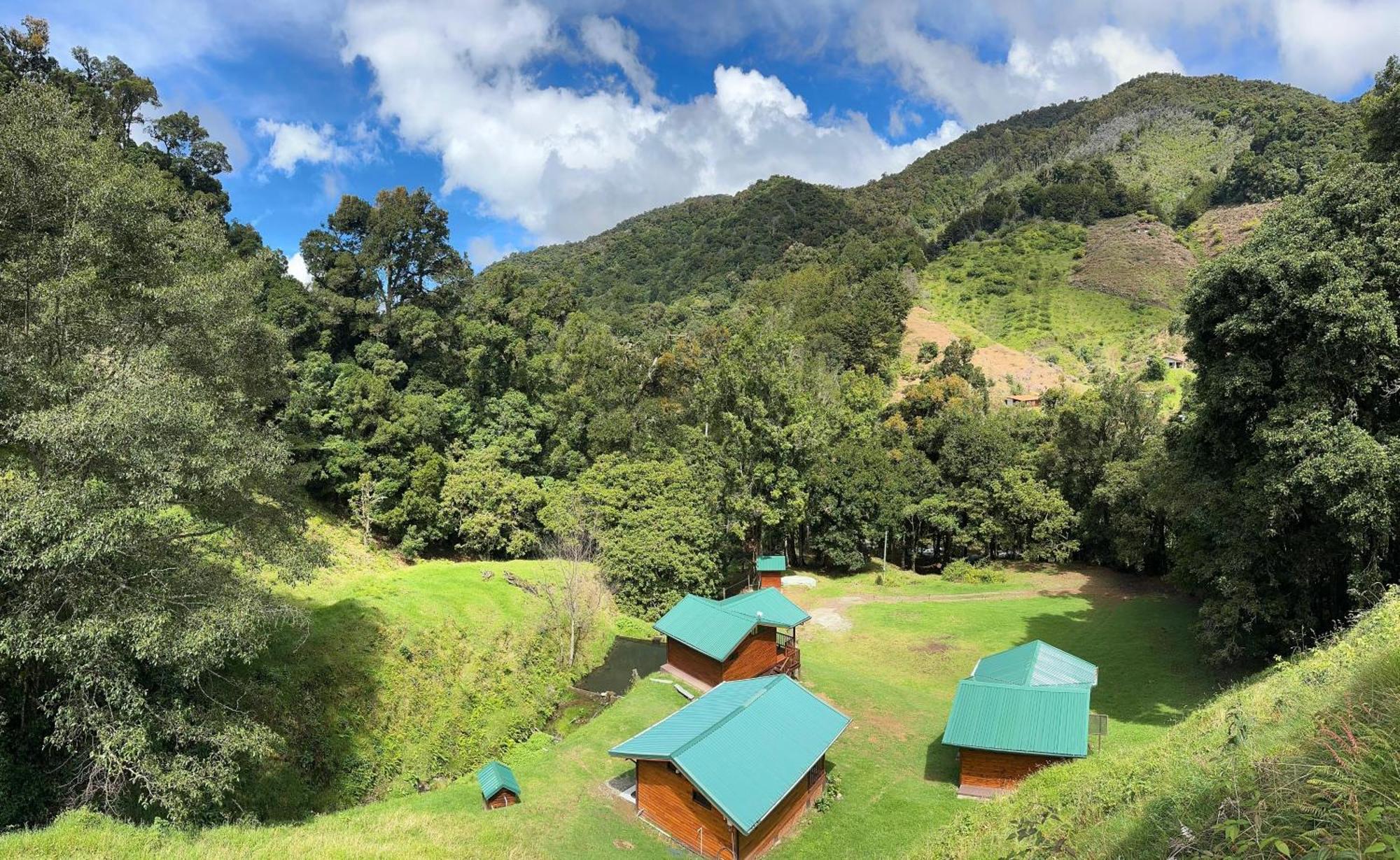 Entre Arboles Lodge San Gerardo de Dota Bagian luar foto