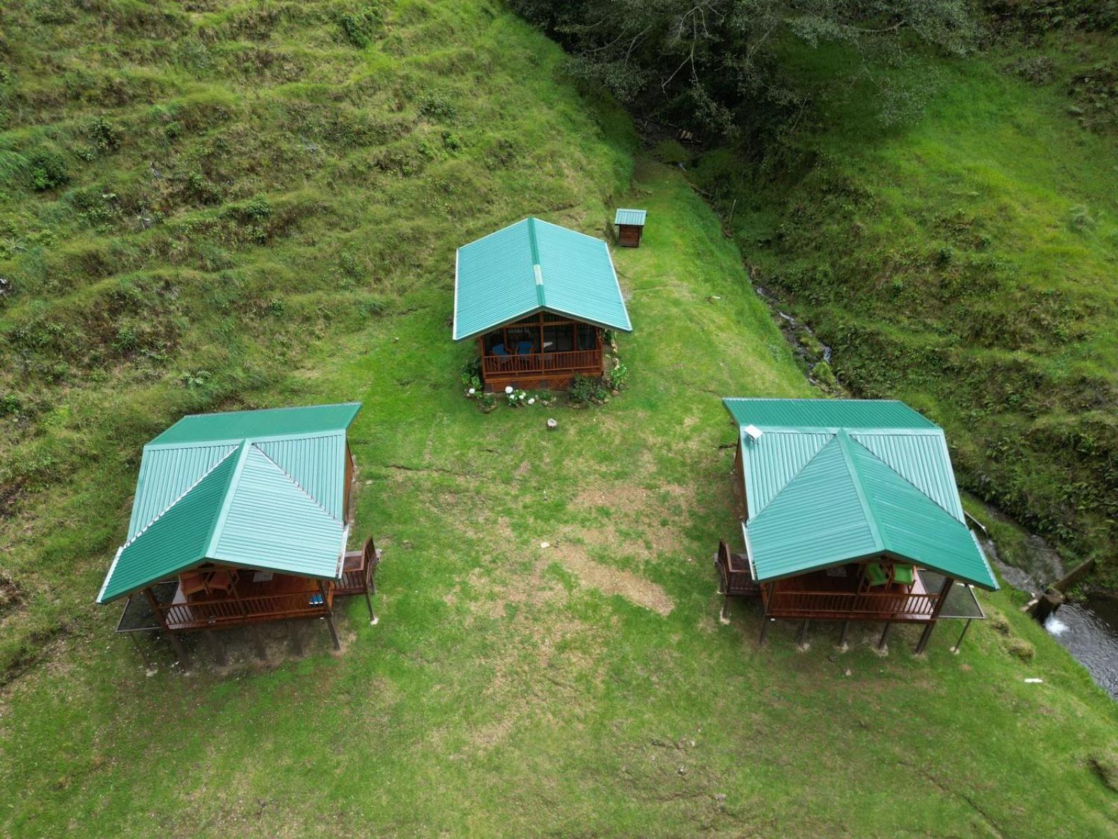 Entre Arboles Lodge San Gerardo de Dota Bagian luar foto