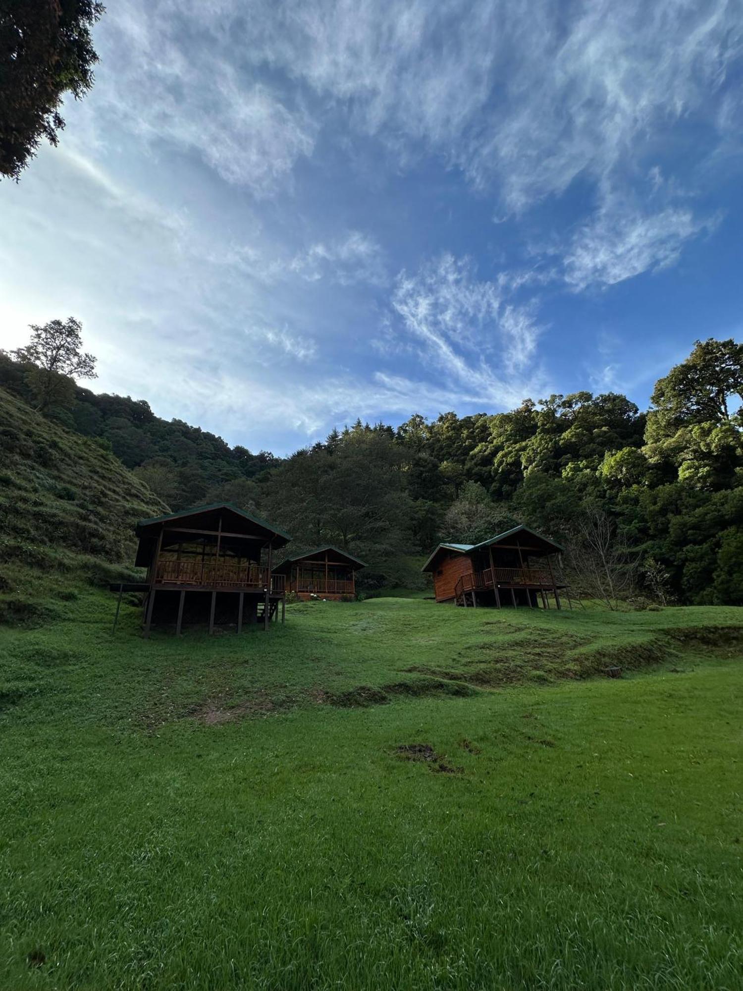 Entre Arboles Lodge San Gerardo de Dota Bagian luar foto