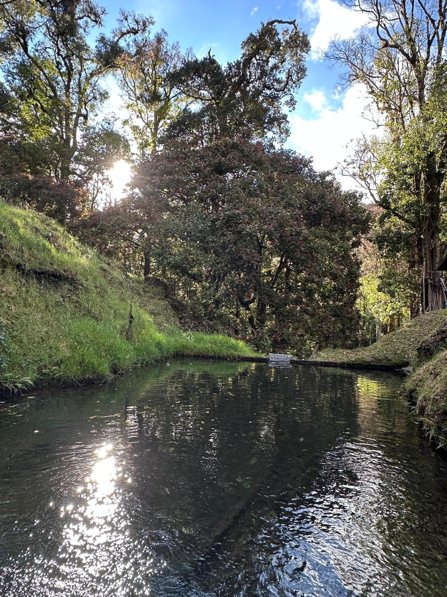 Entre Arboles Lodge San Gerardo de Dota Bagian luar foto