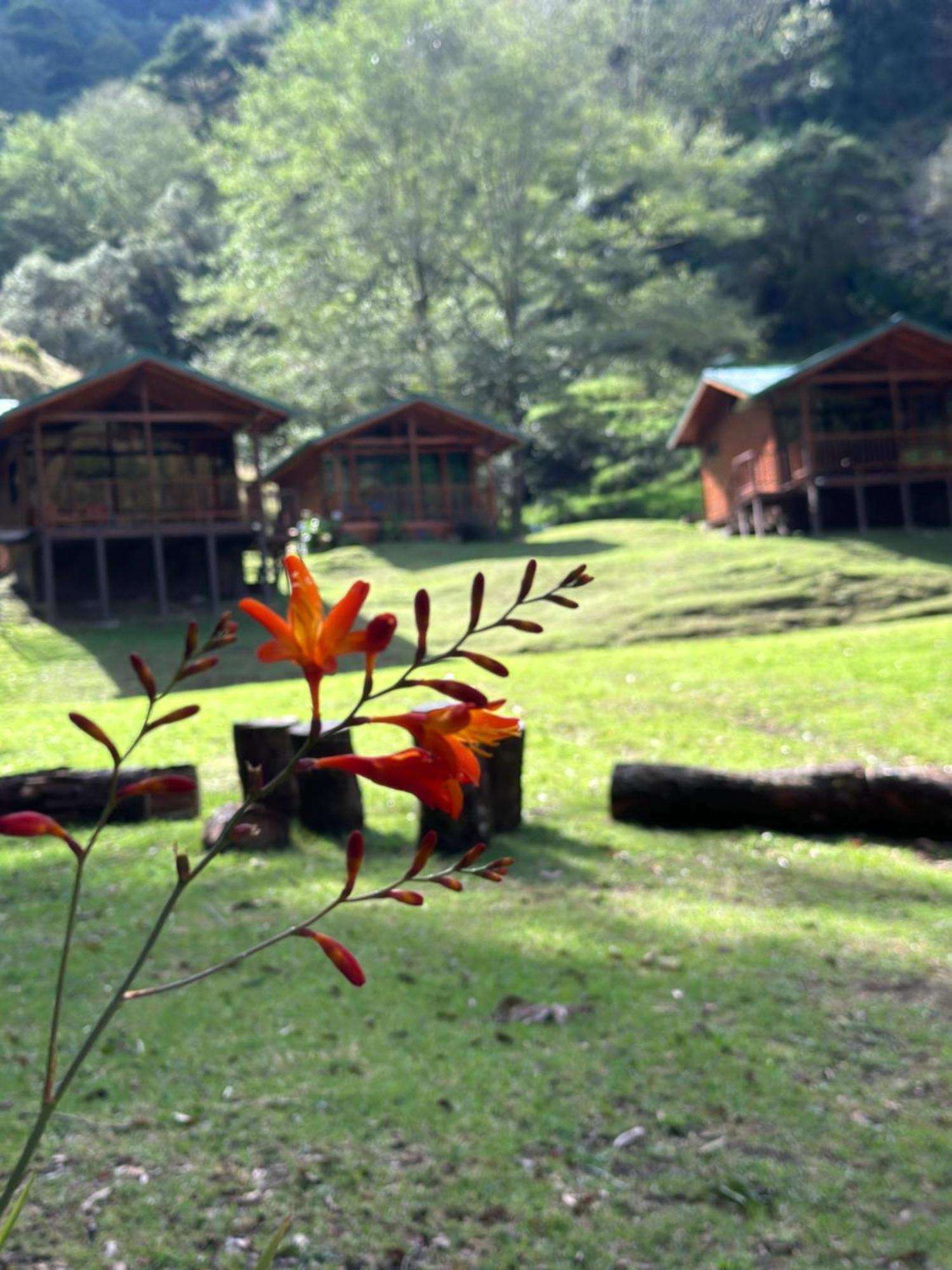 Entre Arboles Lodge San Gerardo de Dota Bagian luar foto