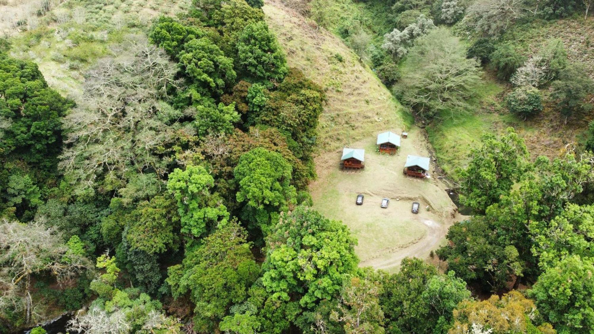 Entre Arboles Lodge San Gerardo de Dota Bagian luar foto