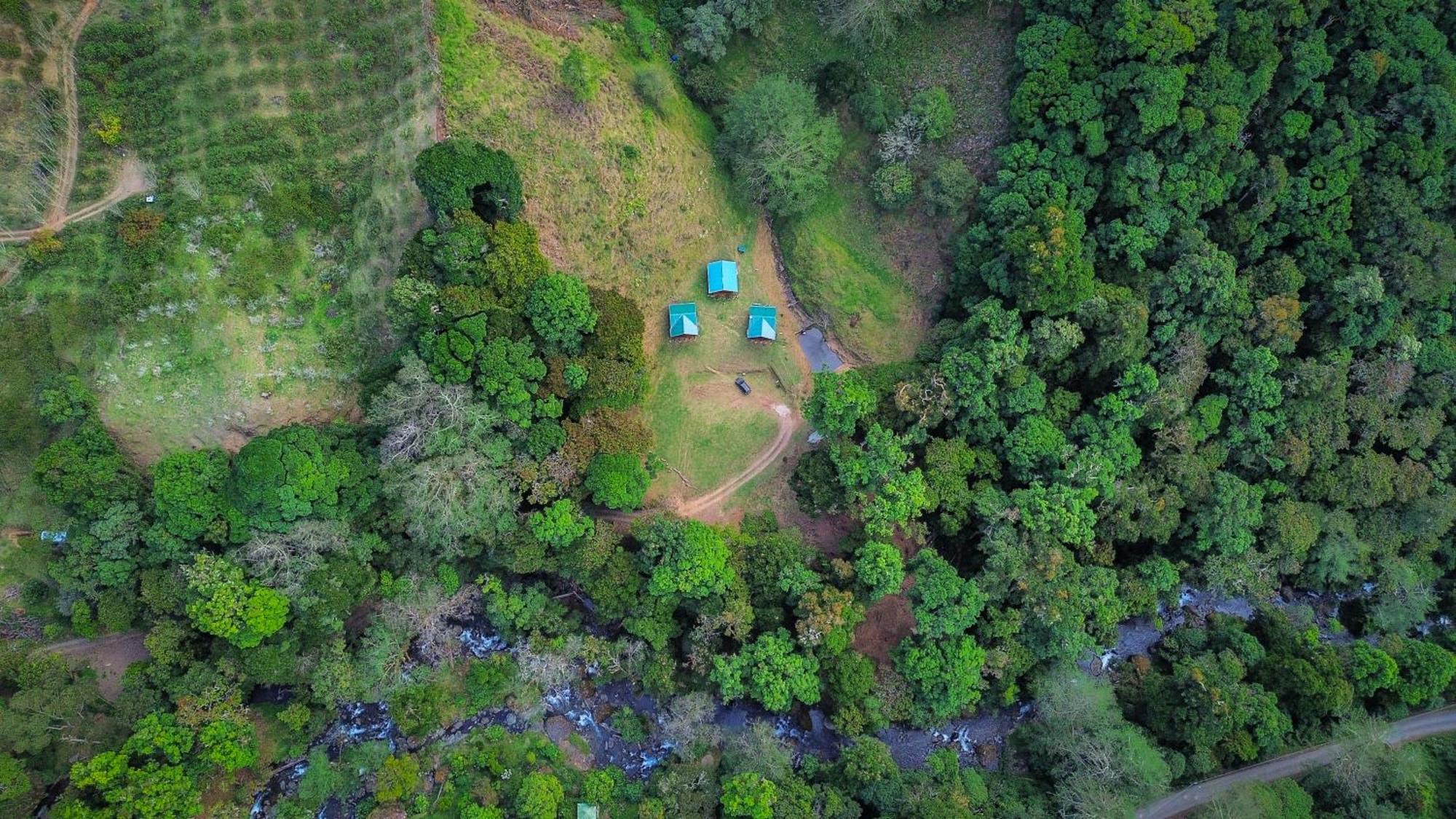 Entre Arboles Lodge San Gerardo de Dota Bagian luar foto
