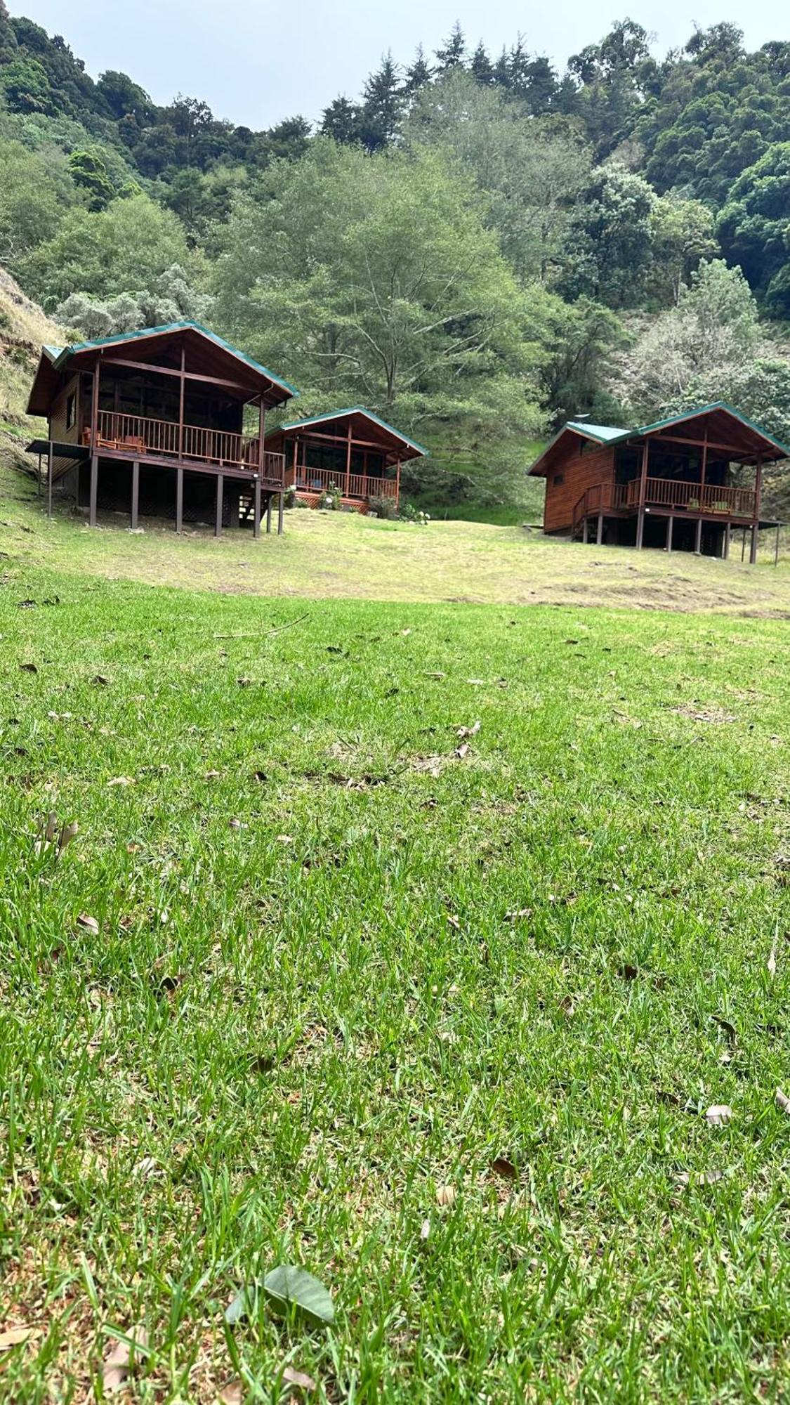 Entre Arboles Lodge San Gerardo de Dota Bagian luar foto