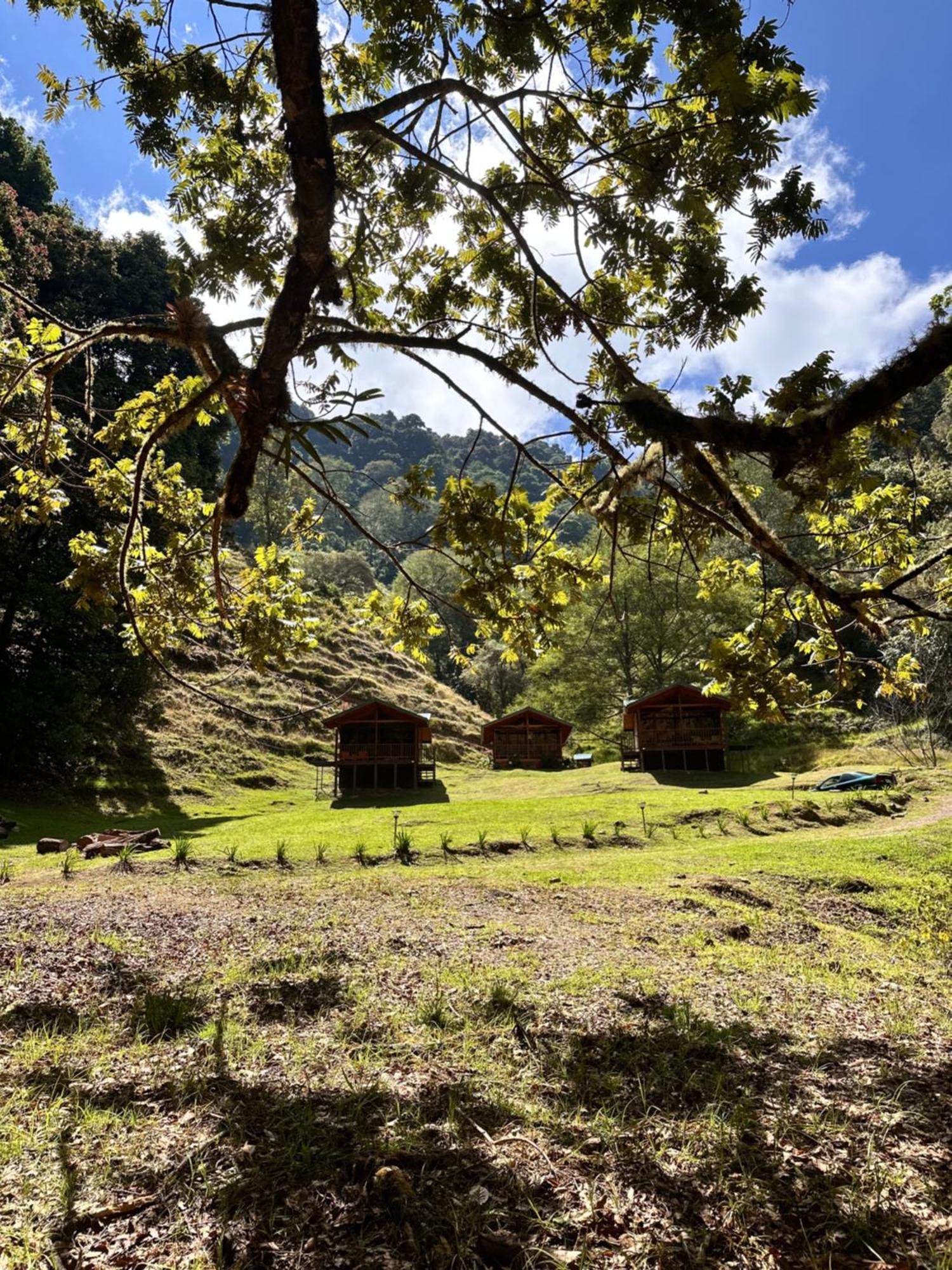 Entre Arboles Lodge San Gerardo de Dota Bagian luar foto