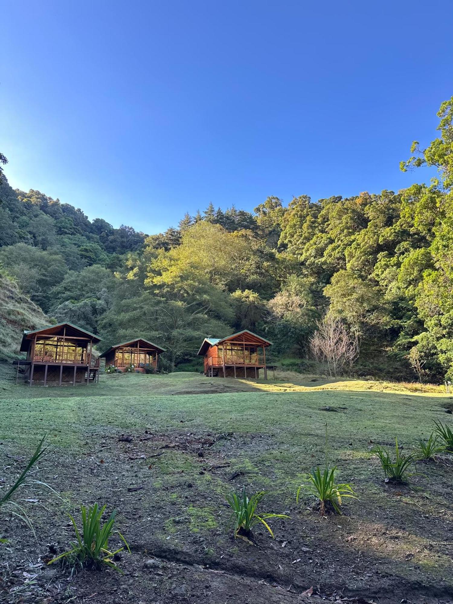 Entre Arboles Lodge San Gerardo de Dota Bagian luar foto