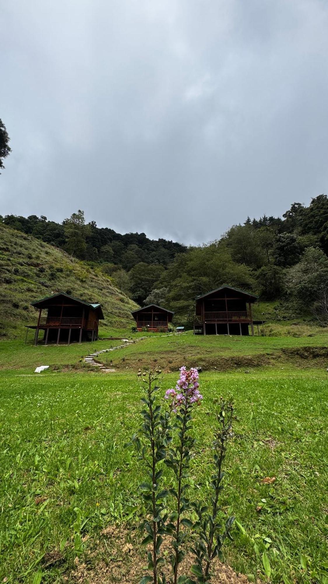Entre Arboles Lodge San Gerardo de Dota Bagian luar foto