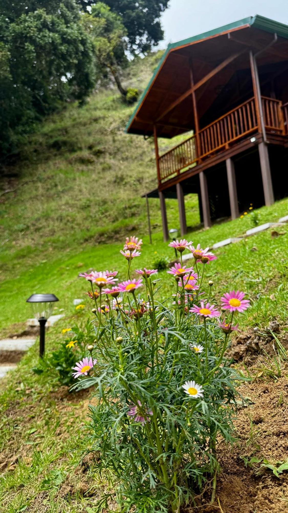 Entre Arboles Lodge San Gerardo de Dota Bagian luar foto