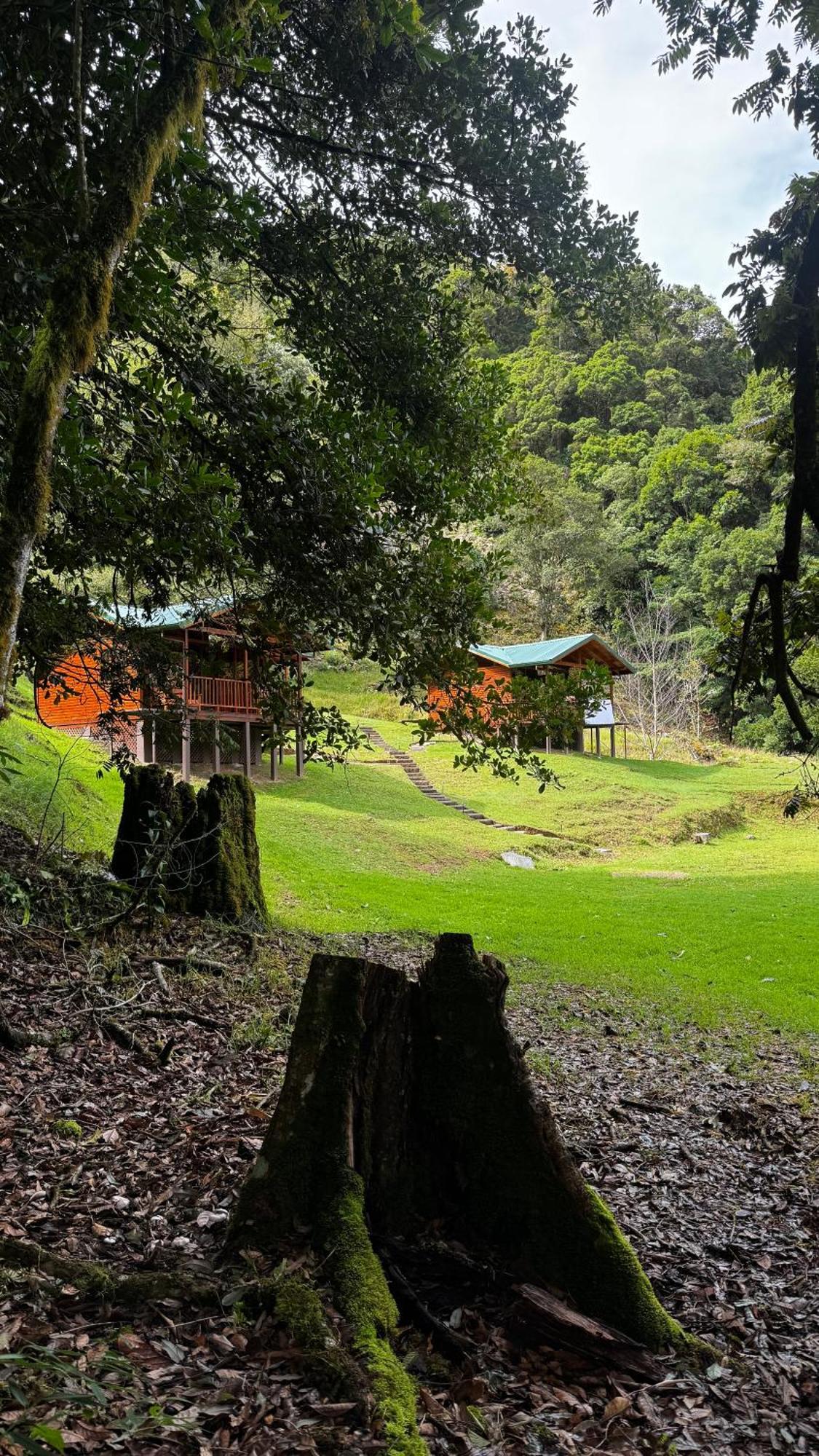 Entre Arboles Lodge San Gerardo de Dota Bagian luar foto