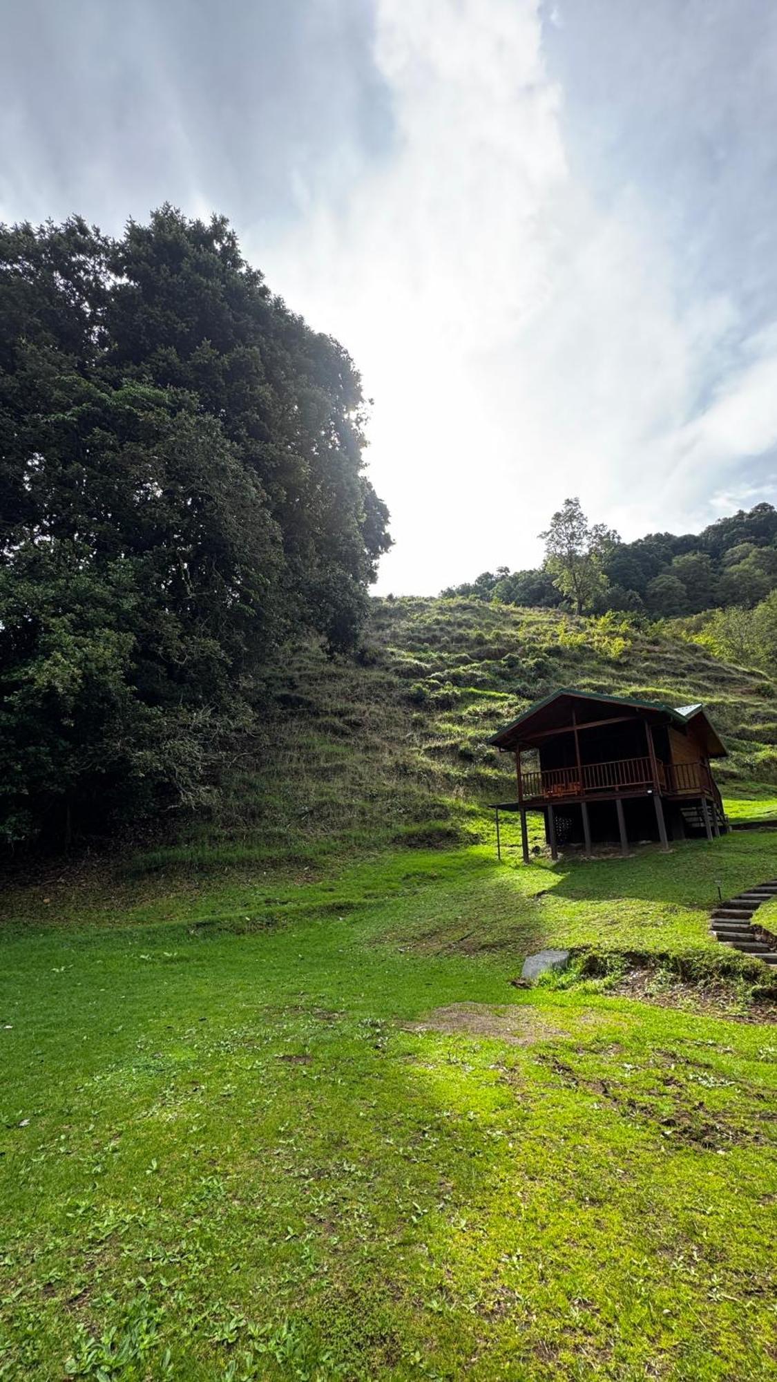 Entre Arboles Lodge San Gerardo de Dota Bagian luar foto